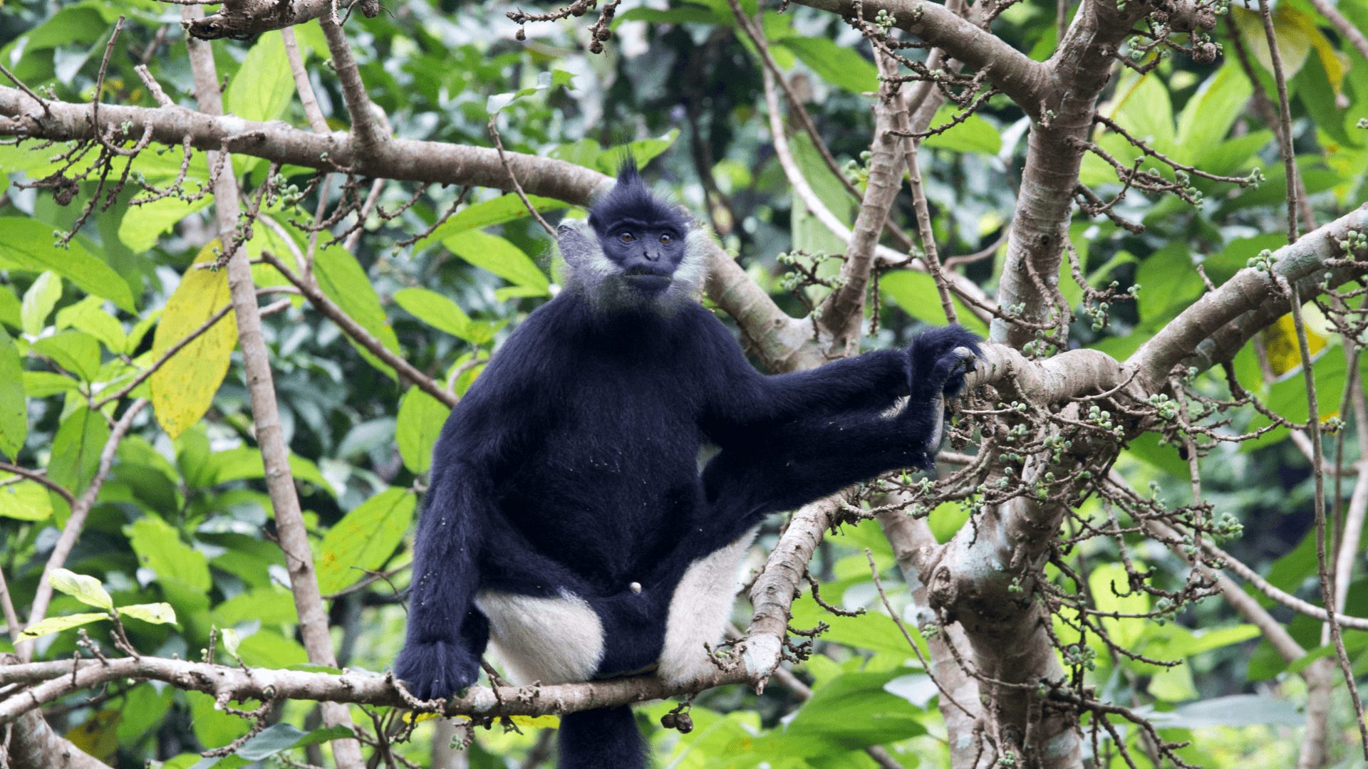 Ninh Binh bottom view