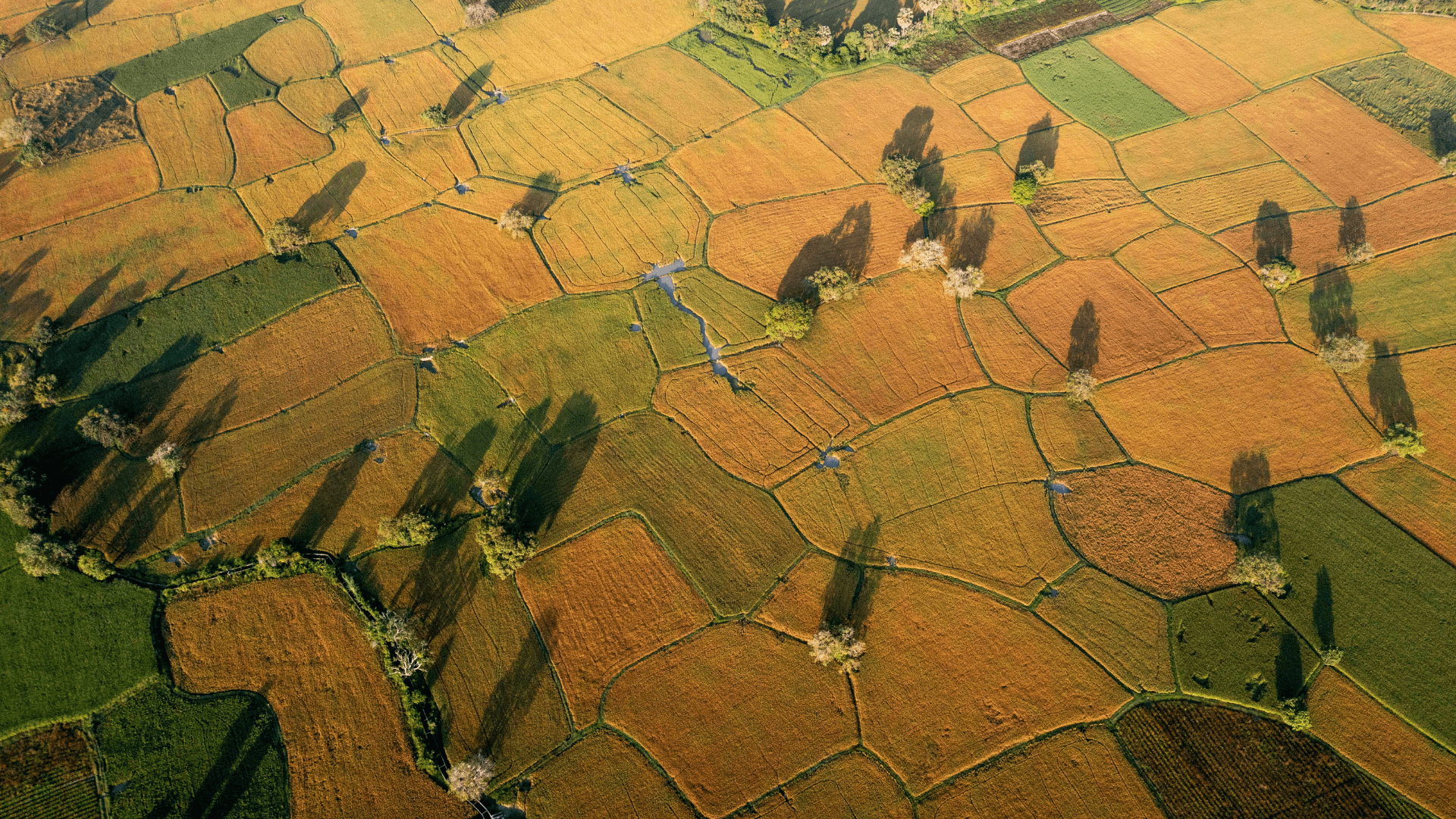 Mekong Delta main view