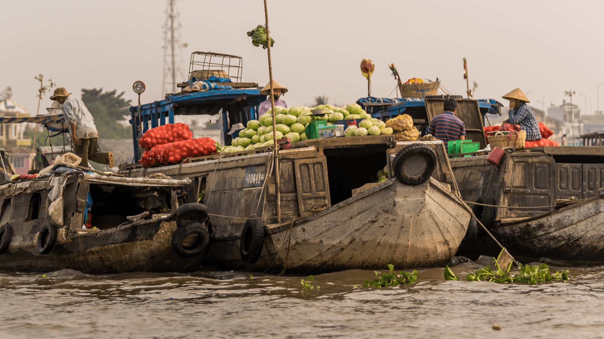 Mekong Delta top view