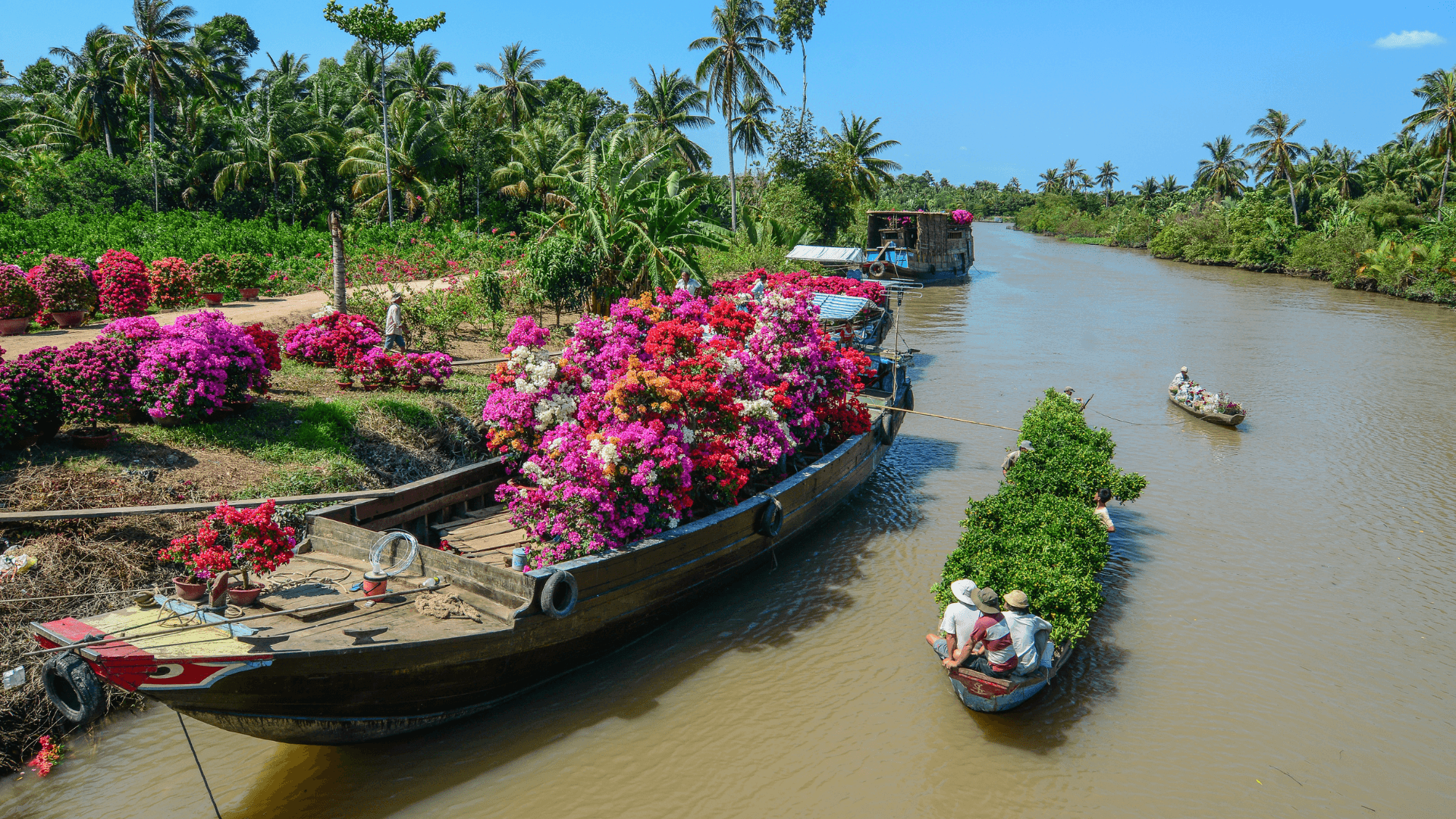 Mekong Delta
