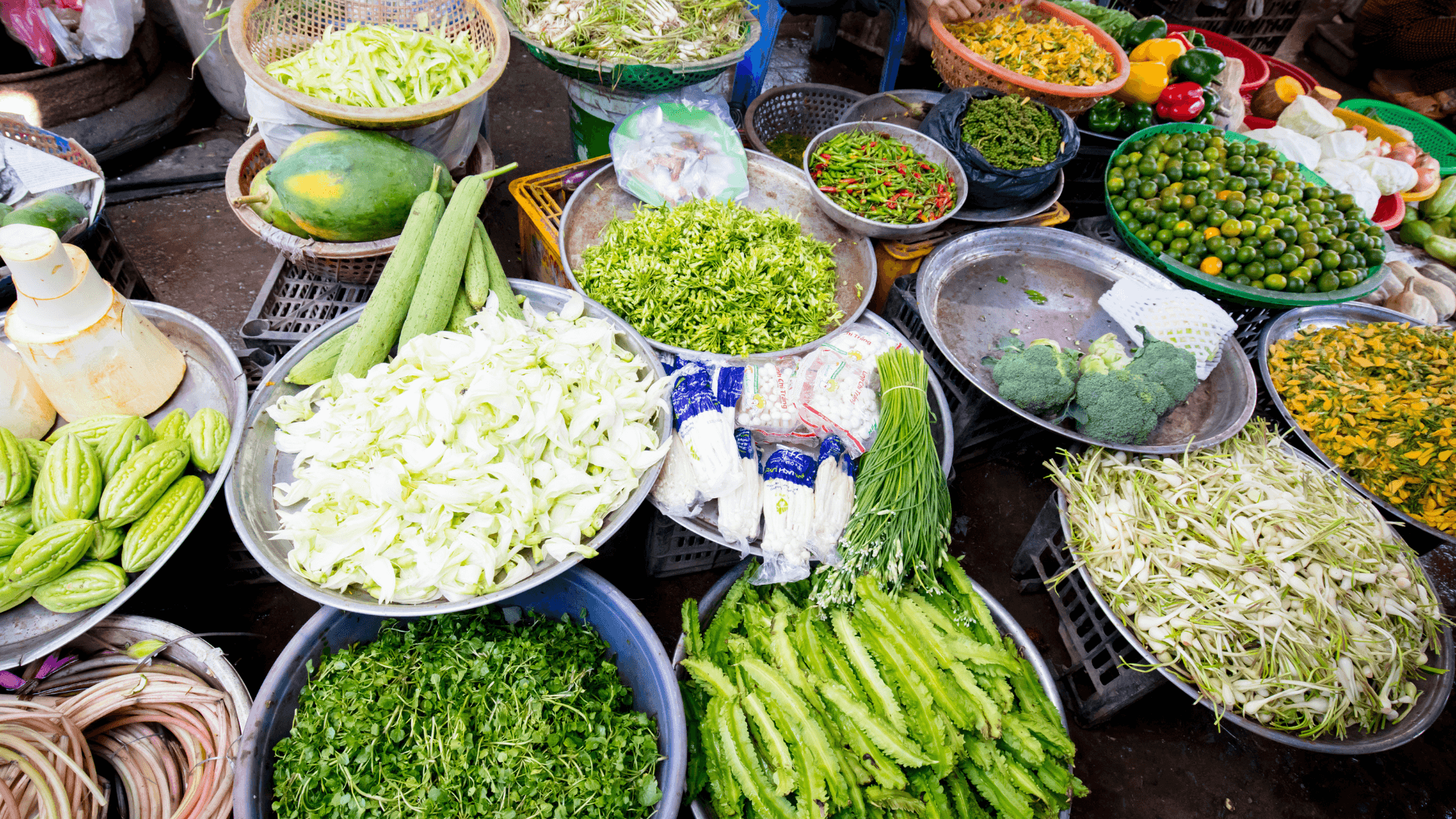 Mekong Delta bottom view