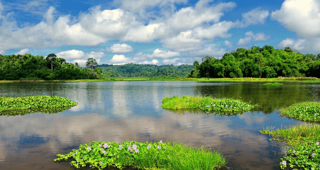 Trekking & Nature Adventures